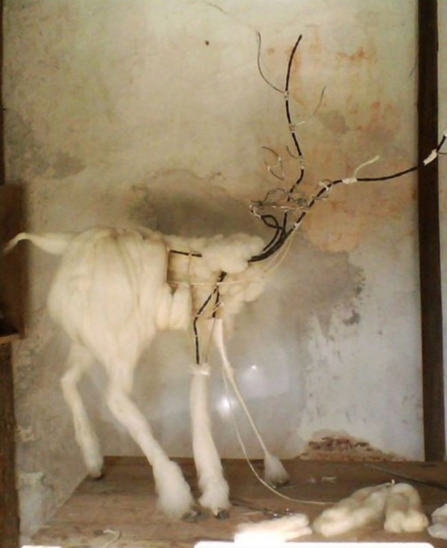 06.jpg